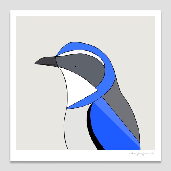 Western Scrub Jay