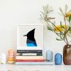 Steller's Jay - Image 2
