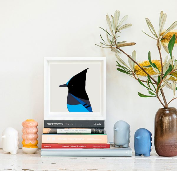 Steller's Jay - Image 2