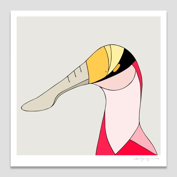 Roseate Spoonbill