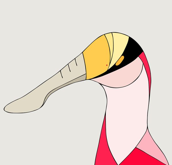 Roseate Spoonbill - Image 3
