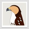 Red-tailed Hawk