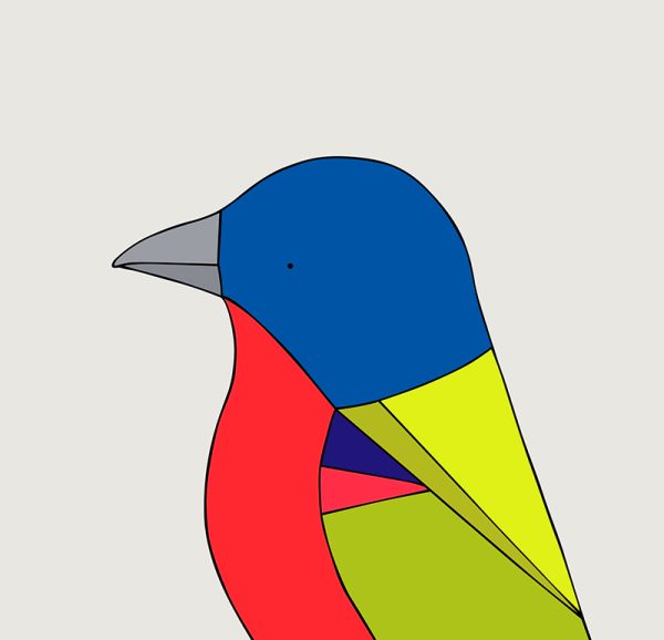 Painted Bunting - Image 3