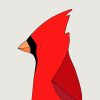 Northern Cardinal - Image 3