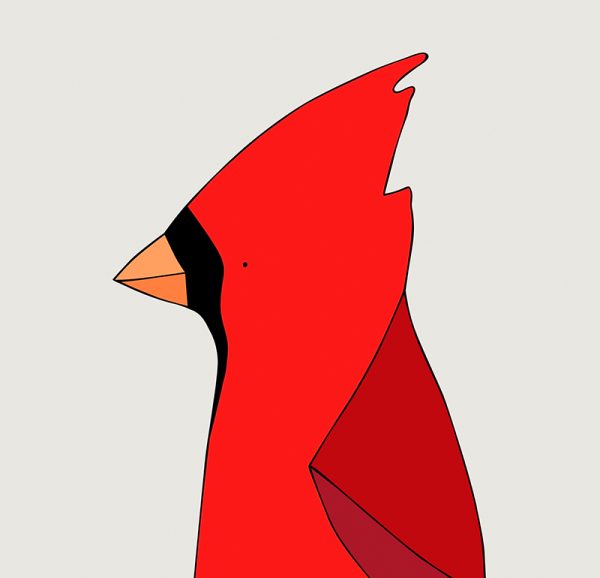 Northern Cardinal - Image 3