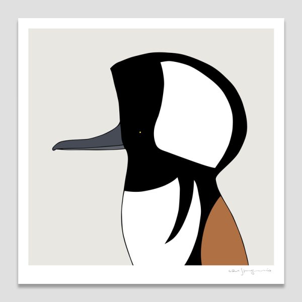 Hooded Merganser