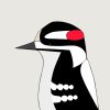 Downy Woodpecker - Image 3