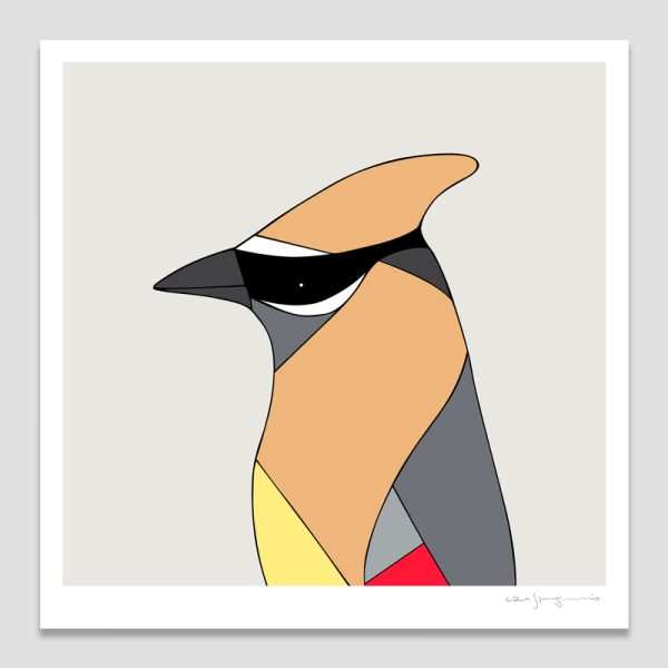 Cedar Waxwing