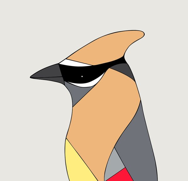 Cedar Waxwing - Image 3