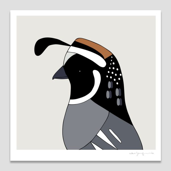 California Quail