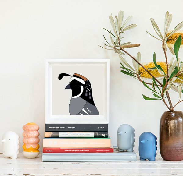 California Quail - Image 2
