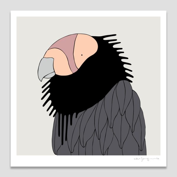 California Condor