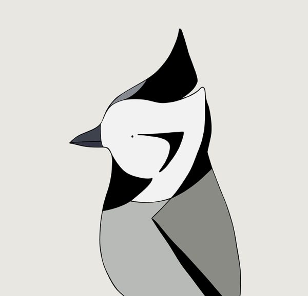 Bridled Titmouse - Image 3
