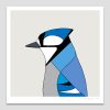 Blue Jay