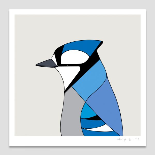 Blue Jay