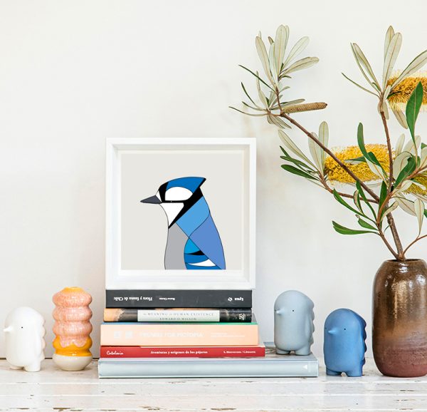 Blue Jay - Image 2