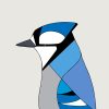 Blue Jay - Image 3