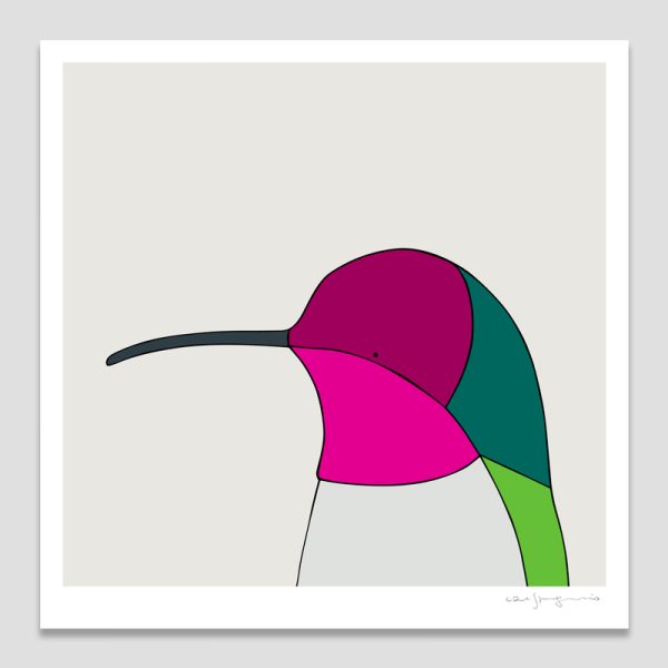 Anna's Hummingbird
