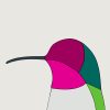 Anna's Hummingbird - Image 3