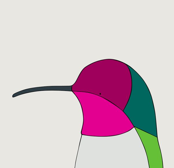 Anna's Hummingbird - Image 3