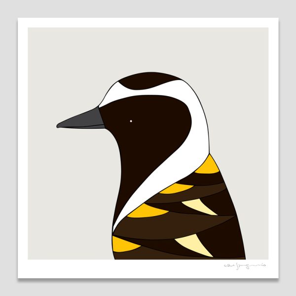 American Golden Plover