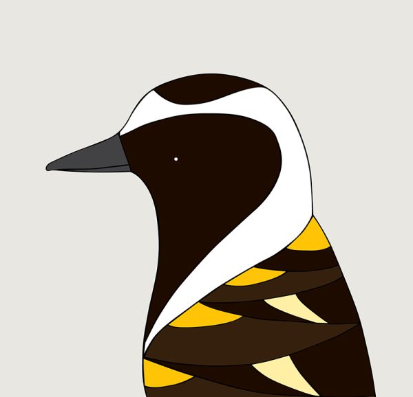 American Golden Plover - Image 3