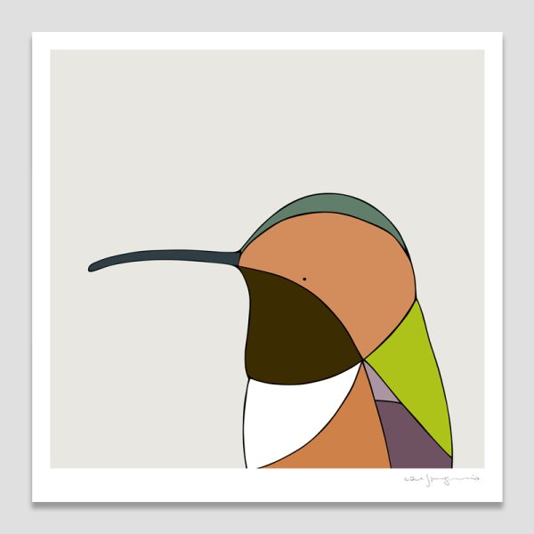 Allen's Hummingbird