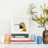 Allen's Hummingbird - Image 2