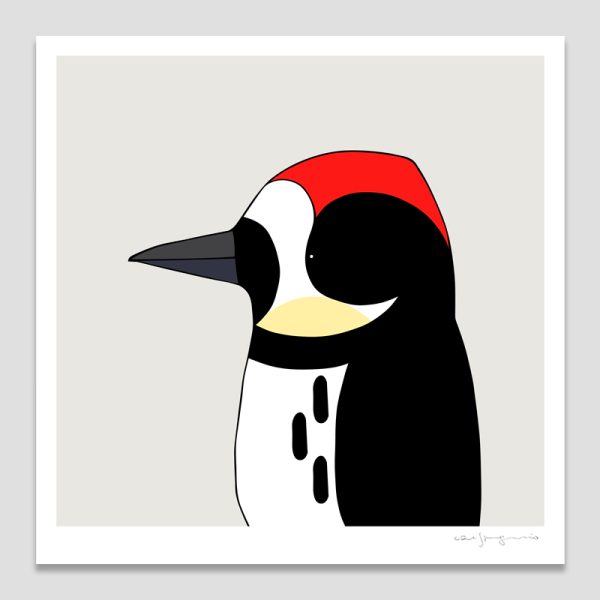Acorn Woodpecker