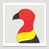 Australian Brush-turkey