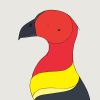 Australian Brush-turkey - Image 3