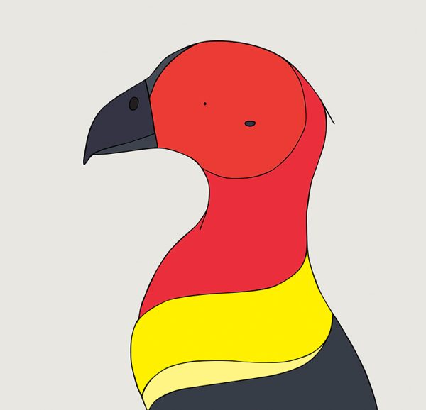 Australian Brush-turkey - Image 3