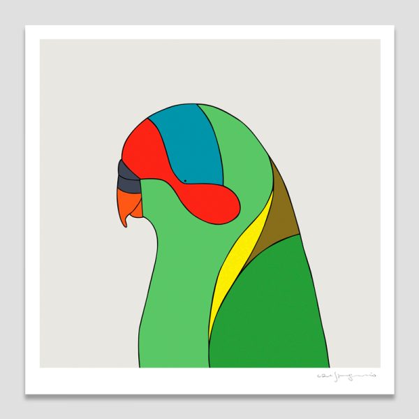 Musk Lorikeet