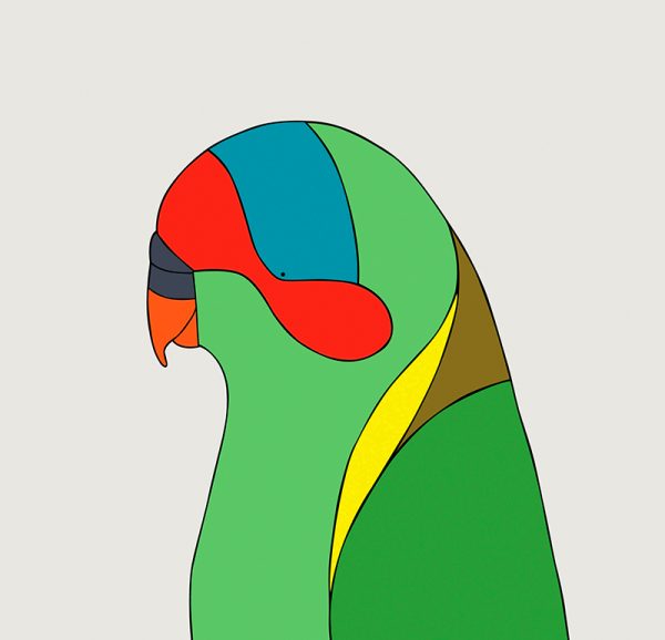Musk Lorikeet - Image 3