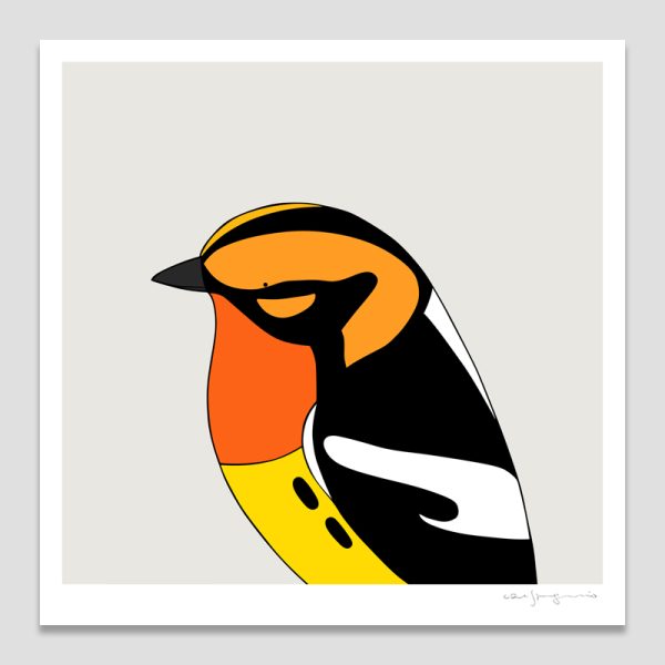 Blackburnian Warbler