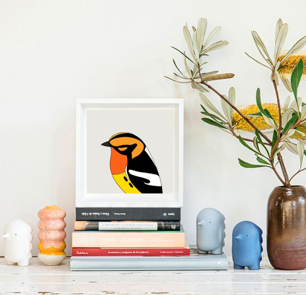 Blackburnian Warbler - Image 2