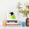 Green Jay - Image 2
