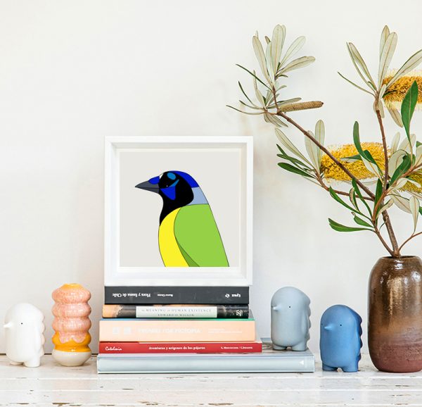 Green Jay - Image 2