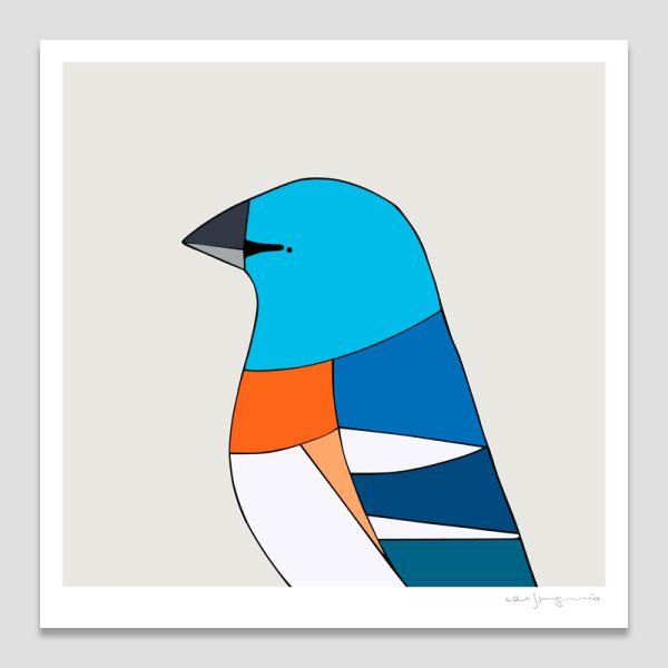 Lazuli Bunting