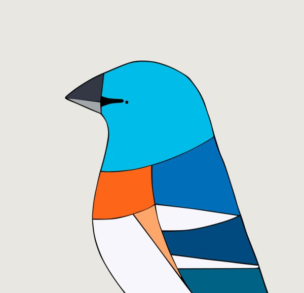 Lazuli Bunting - Image 3