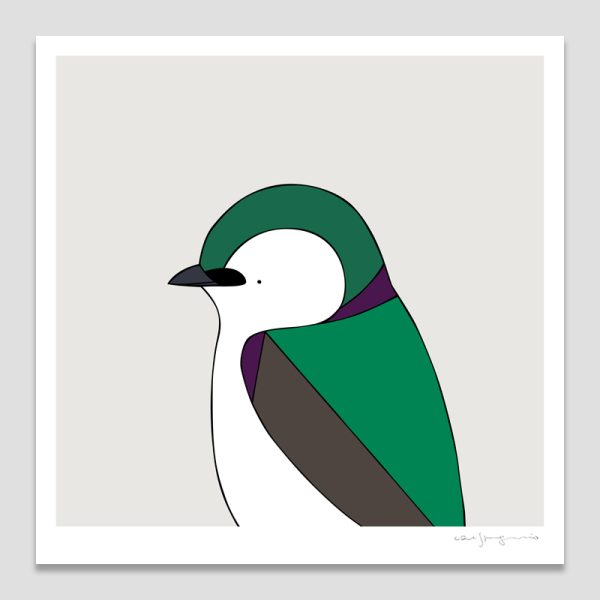 Violet-green Swallow