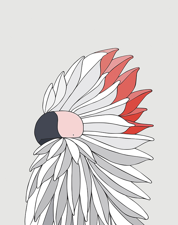 Salmon-Crested Cockatoo