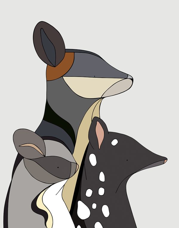 Marsupials of Australia V
