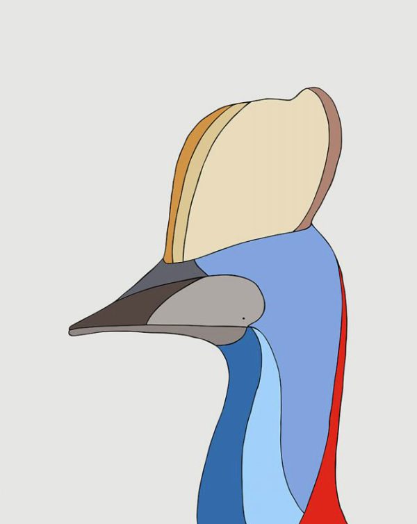 Cassowary