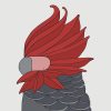 Gang-Gang Cockatoo