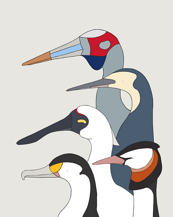 Wetland Birds