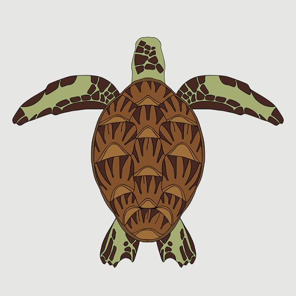 Green Turtle