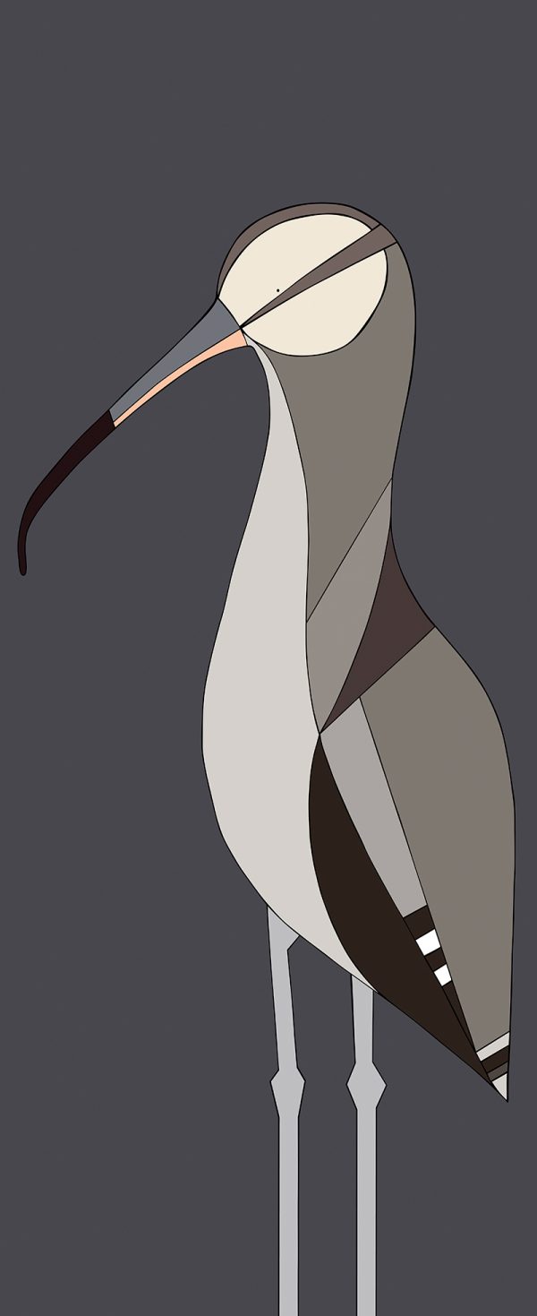 Eastern Curlew