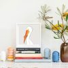 American White Pelican - Image 2
