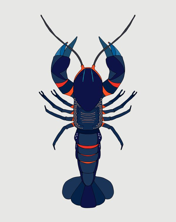 Alpine Spiny Crayfish